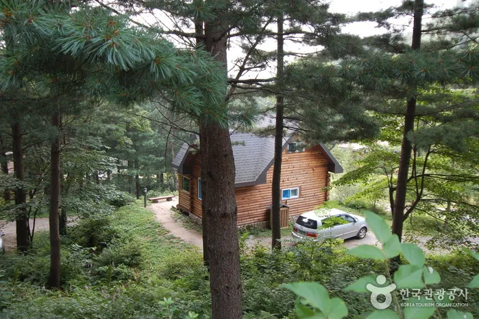 강원도의 자연과 문학여행