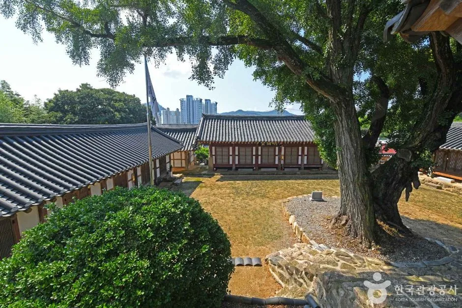 무안_무안향교 (4)