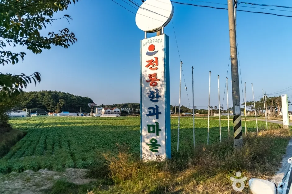 강릉 모래내 한과마을(갈골한과) (11)