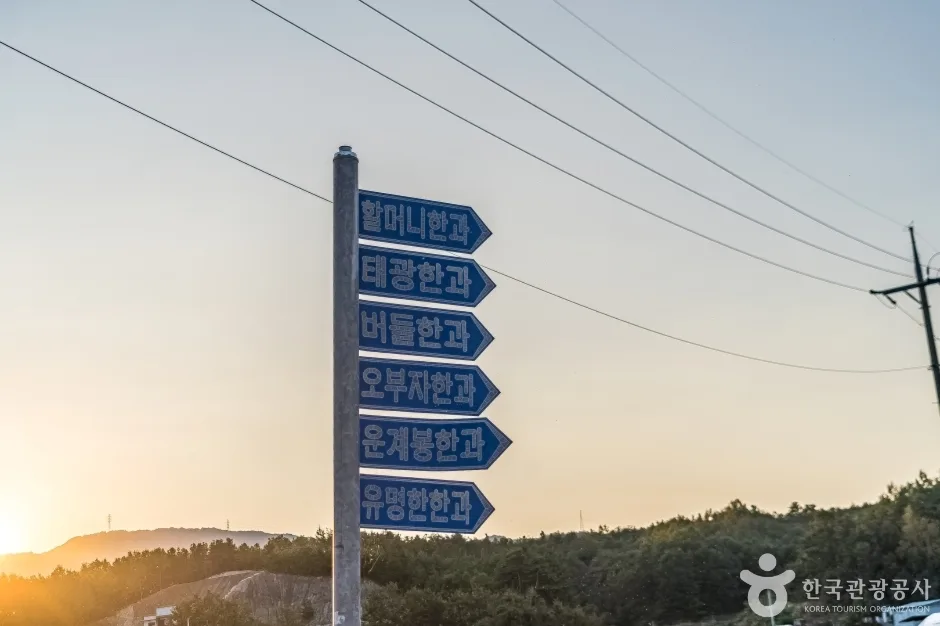 강릉 모래내 한과마을(갈골한과) (8)