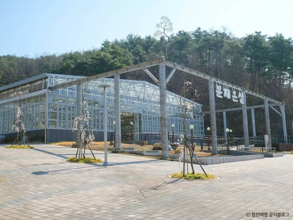 합천_합천목재문화체험장 (2)
