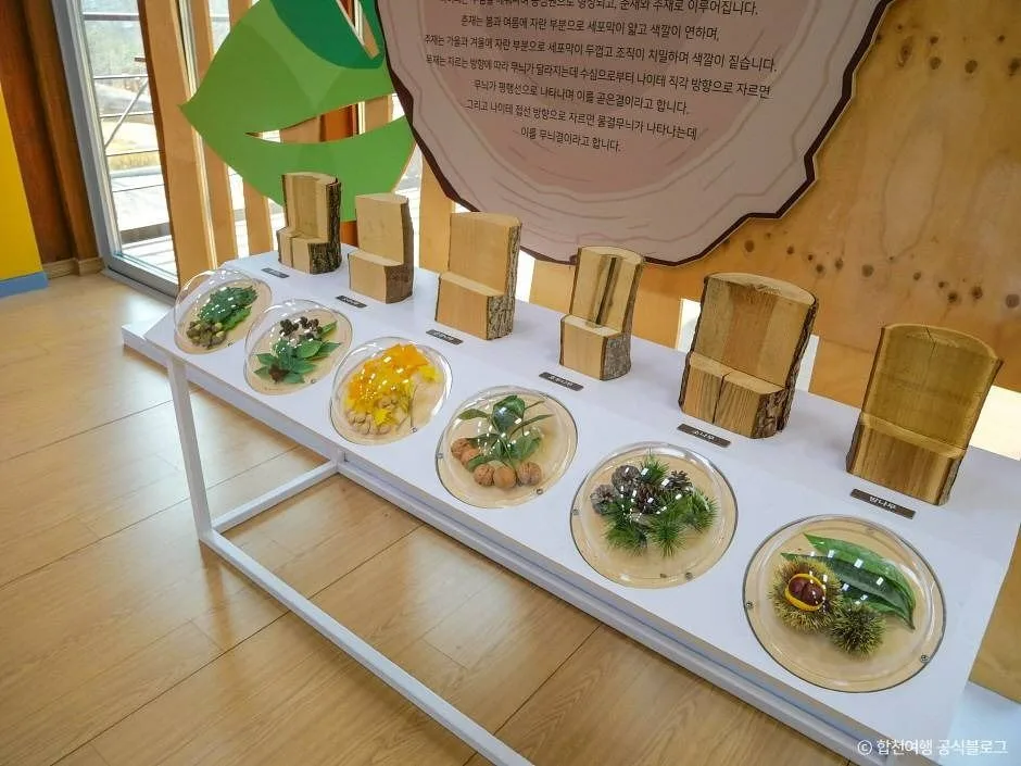 합천_합천목재문화체험장 (7)