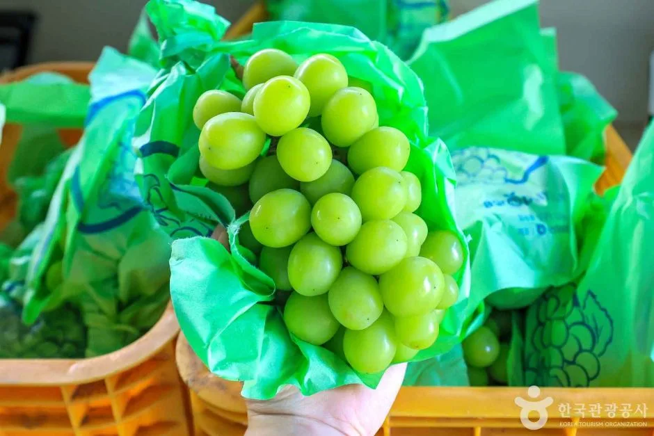 경기_안성_인처골마을 (6)