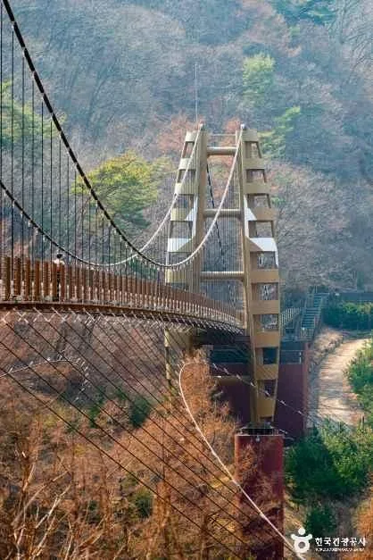 좌구산 자연휴양림