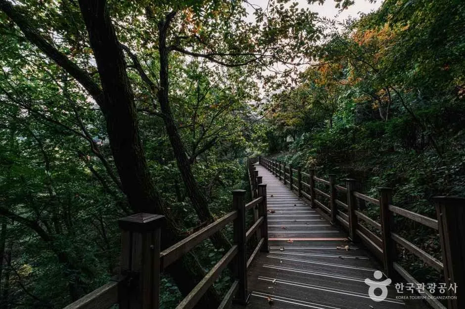 충북_증평_좌구산 자연휴양림_외부_5.jpg