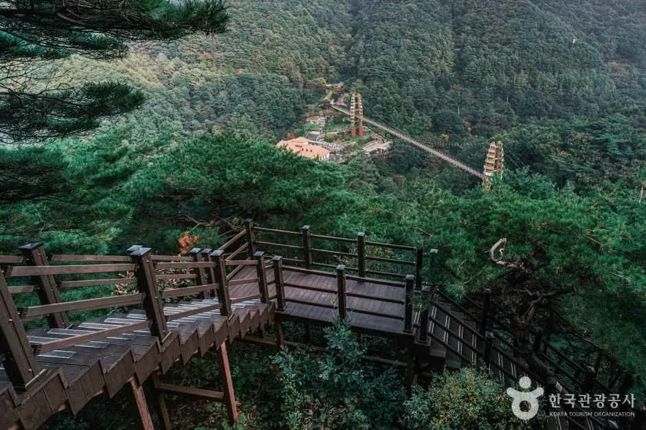 충북_증평_좌구산 자연휴양림_체험_1.jpg