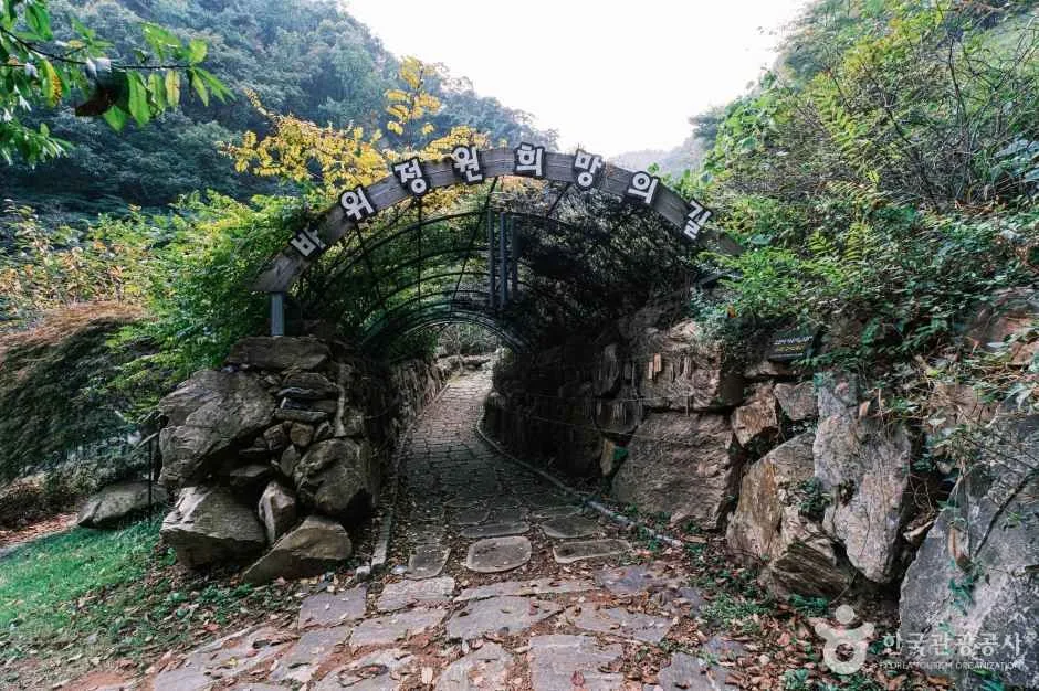 충북_증평_좌구산 자연휴양림_외부_2.jpg