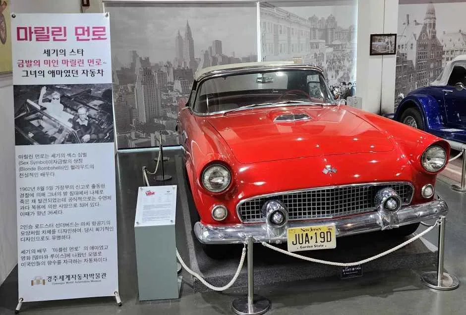 경주_경주세계자동차박물관 (2).jpg