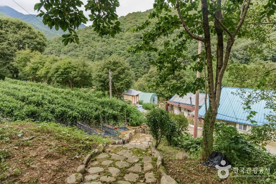 무주_서벽정 (6)