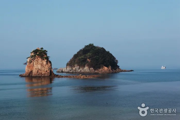 201609충남_태안_안면도07
