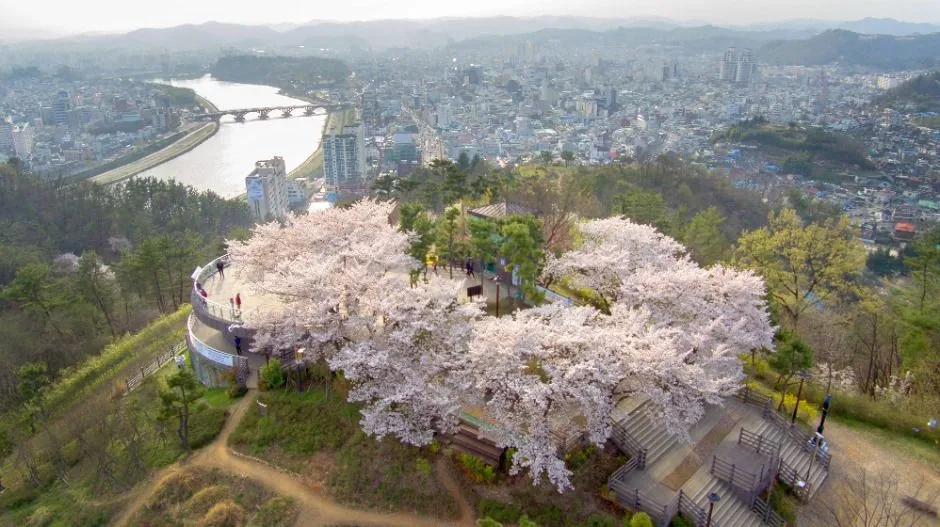 진주_선학산전망대 (5)