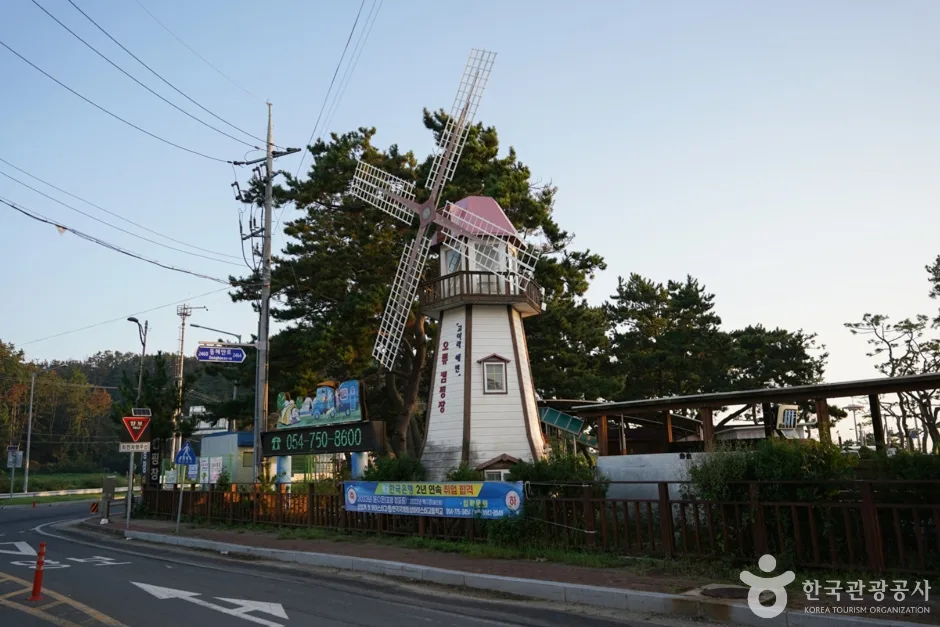 오류고아라해변 (3)