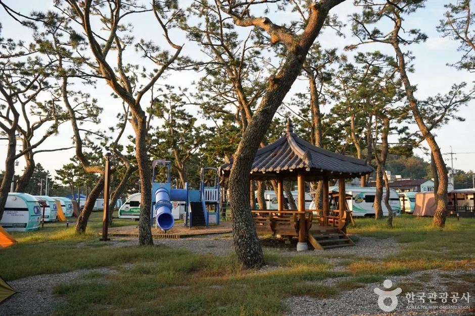 오류고아라해변 (16)