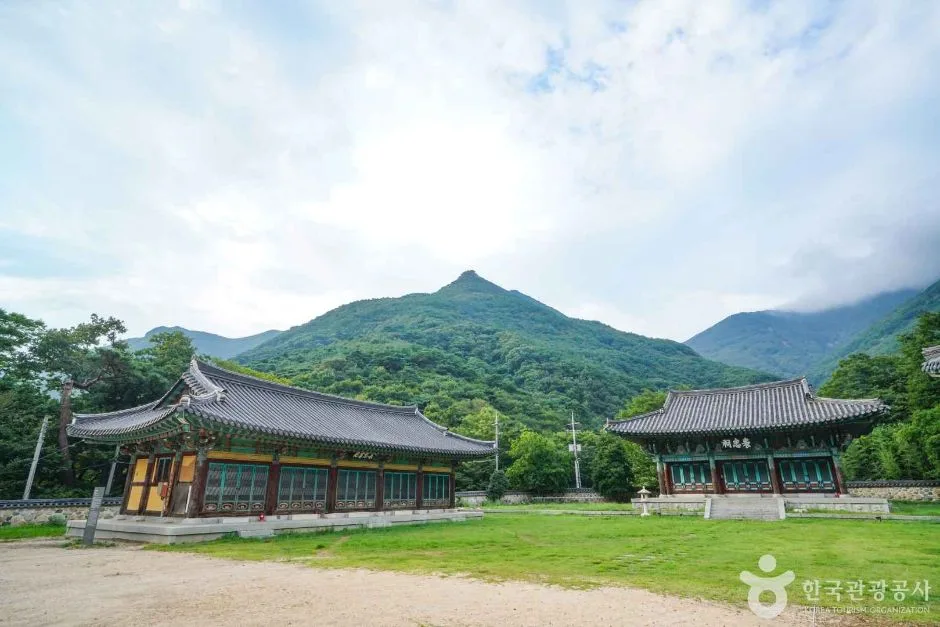 표충서원 (7)
