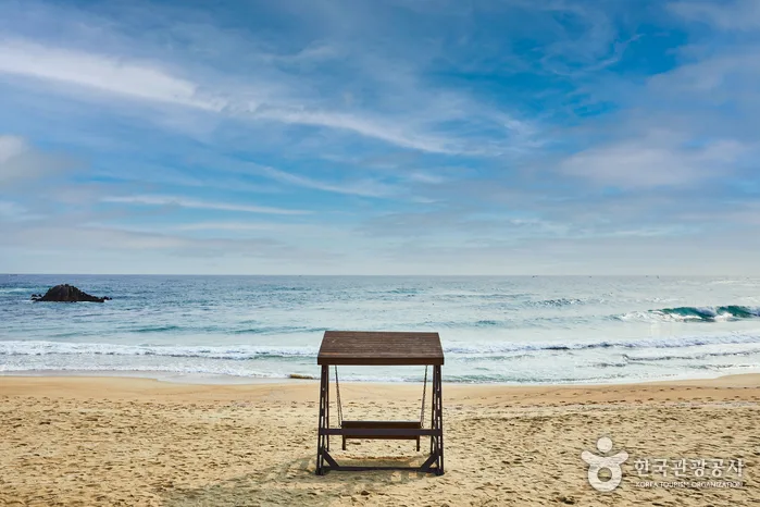 추암해변_1