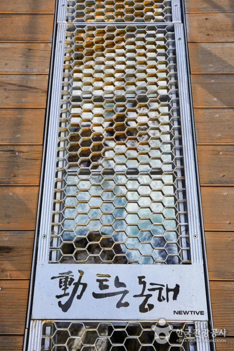 강원_동해시_추암해변 (5).jpg