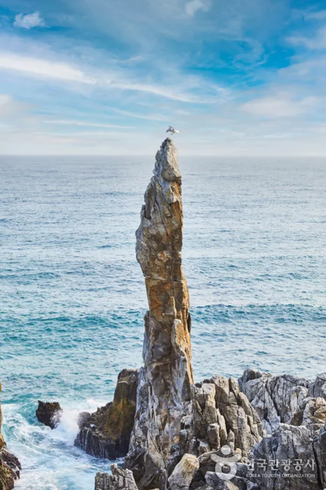 추암해변 5