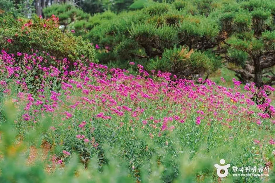 아가페정원 (27)