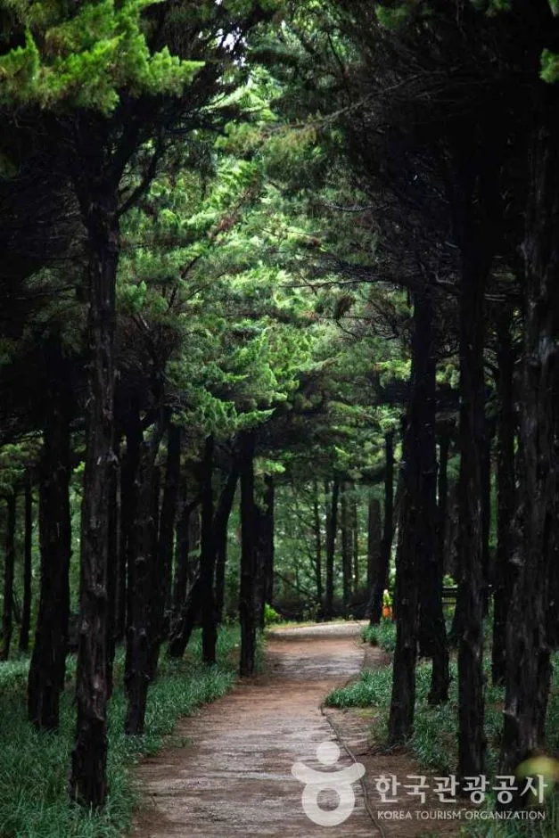 전북_익산_아가페정원_6.jpg