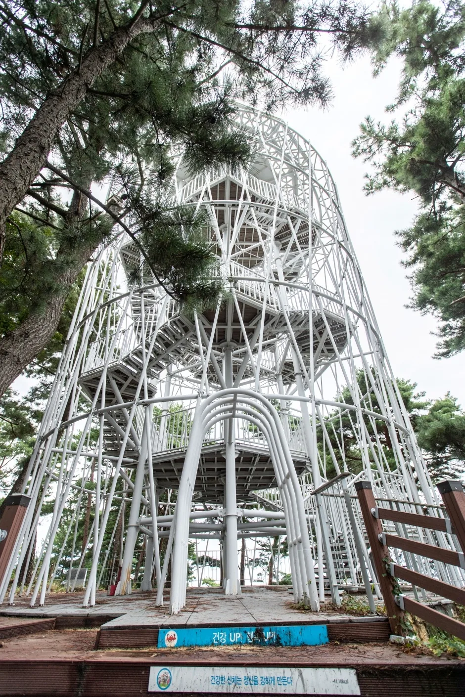 죽도정_3
