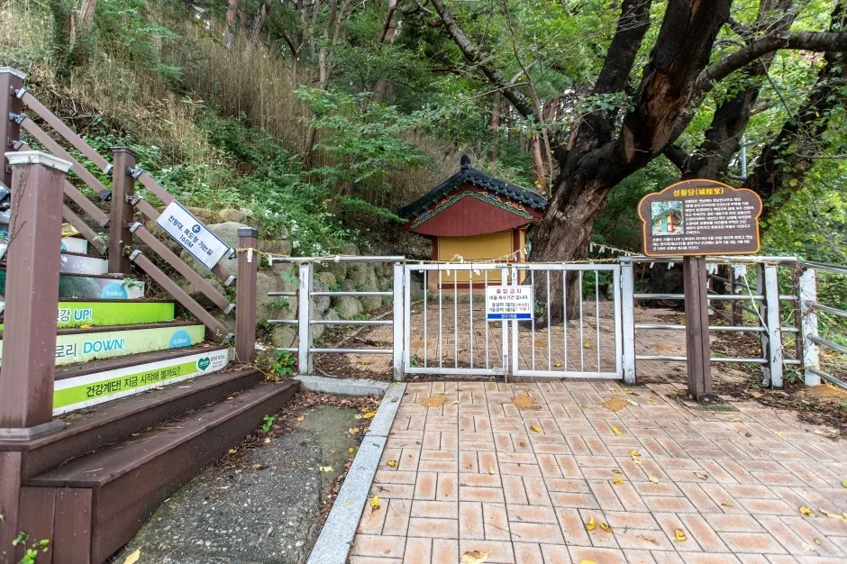 죽도정_5
