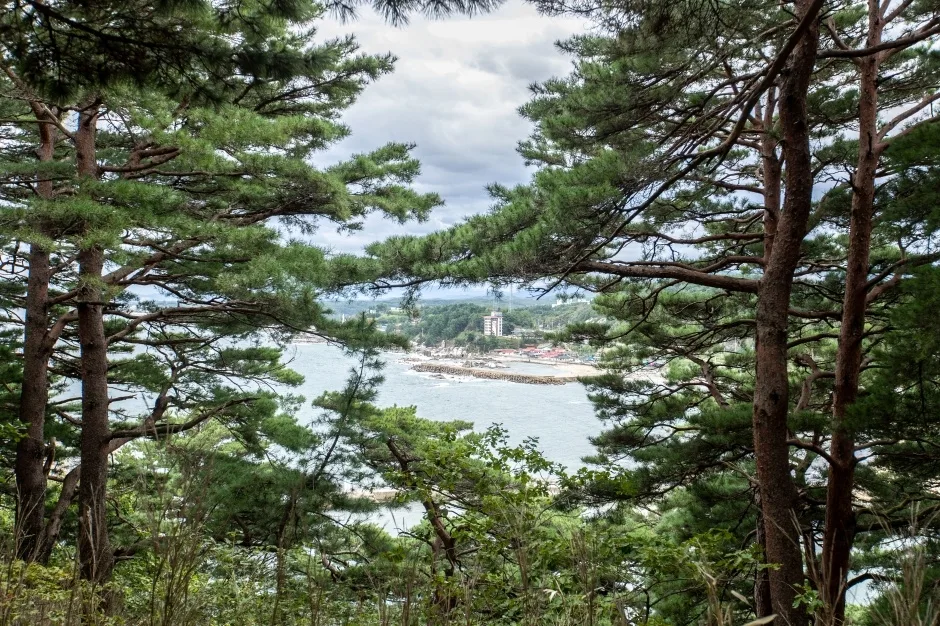 죽도정_10