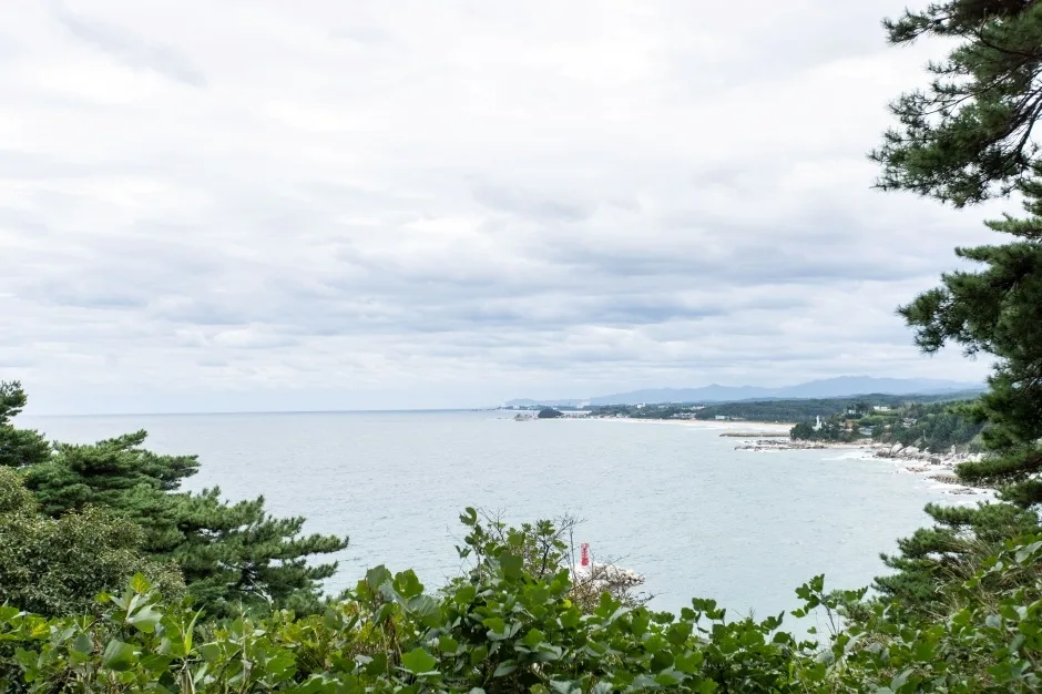 죽도정_4