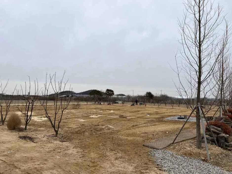 김포_금나루전통장체험농장 (1).jpg