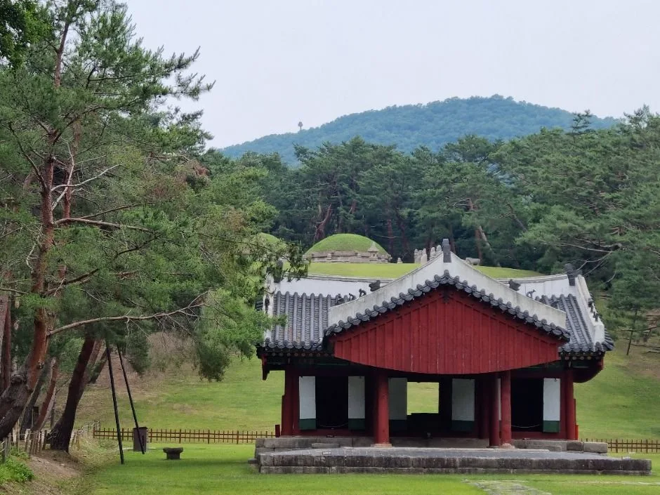 서울 헌릉(태종,원경왕후)과 인릉(순조,순원왕후) [유네스코 세계문화유산] (3)