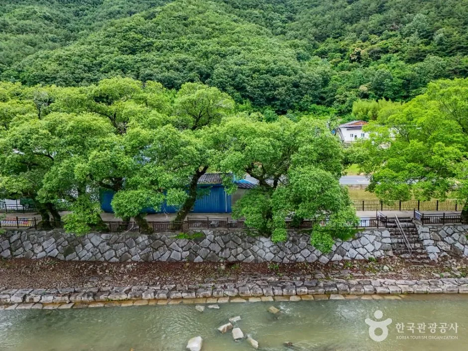 창원_거락계곡 (4)