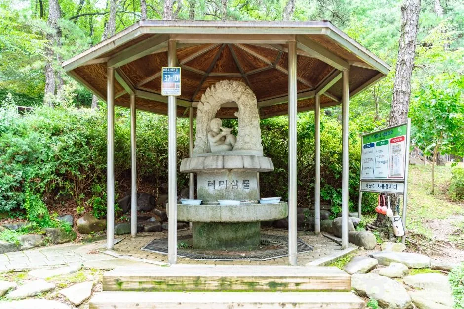 대전_테미공원 (1)