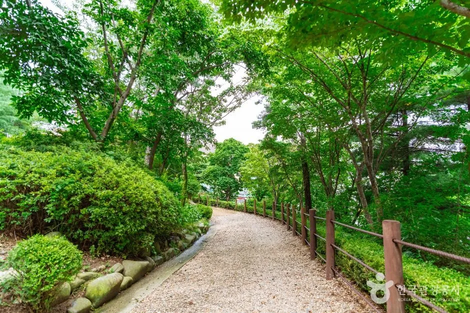 대전_테미공원 (4)