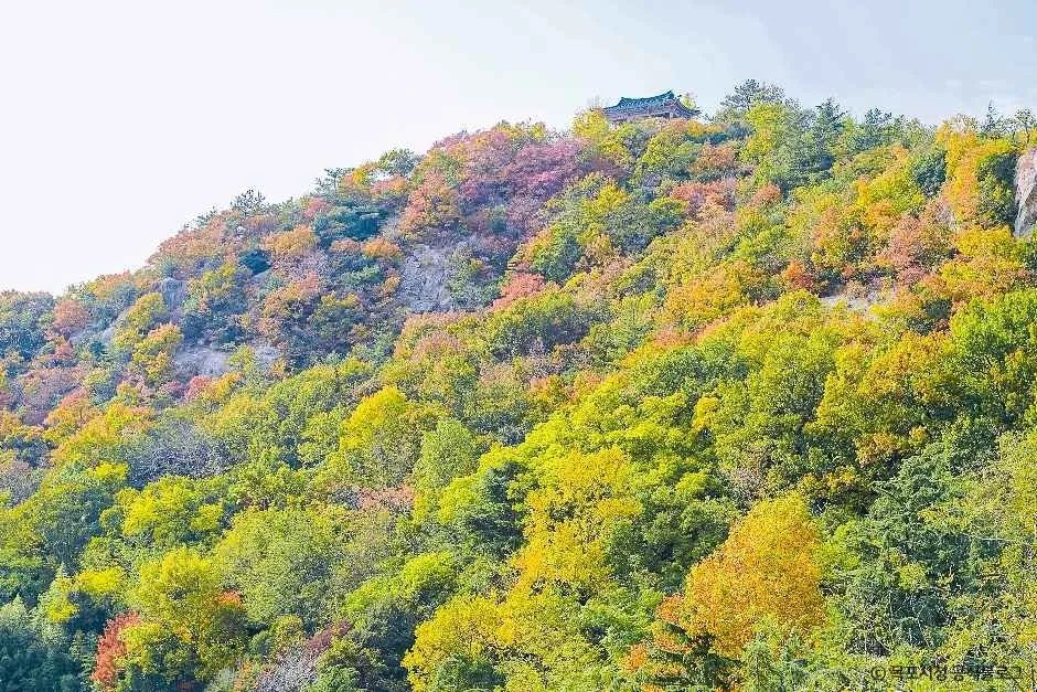 목포_유달산 (1).jpg
