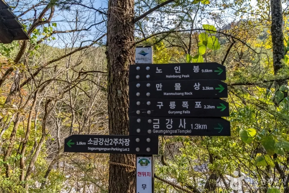 구룡폭포(소금강) (8)