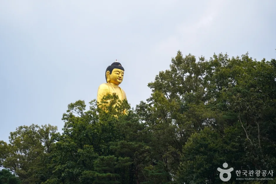 만불사(영천) (13)