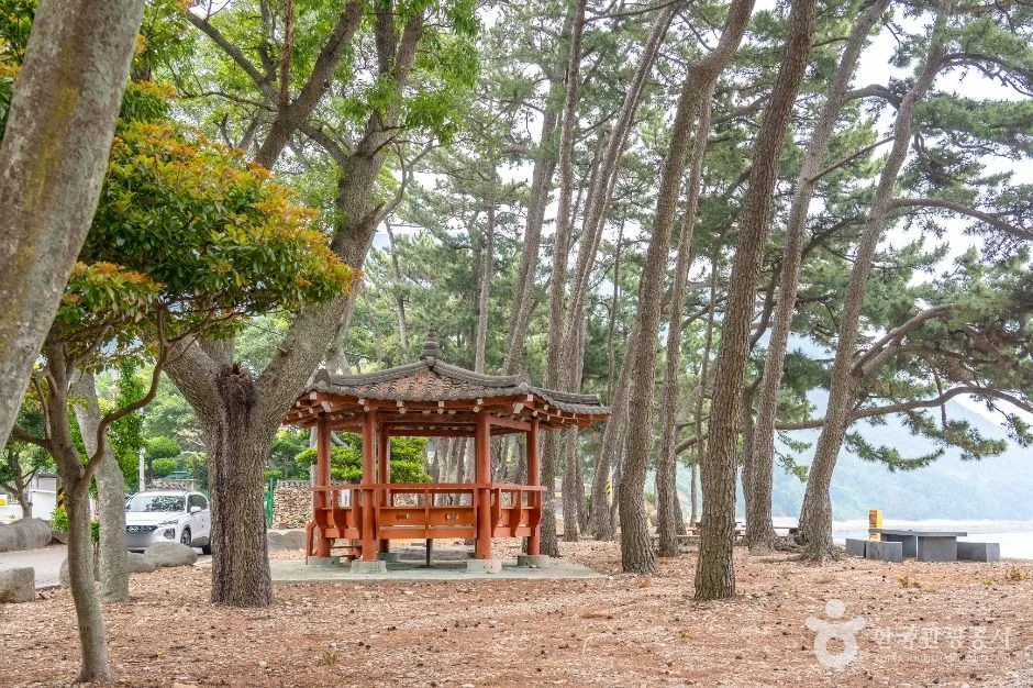 고흥_금장해수욕장 (6)