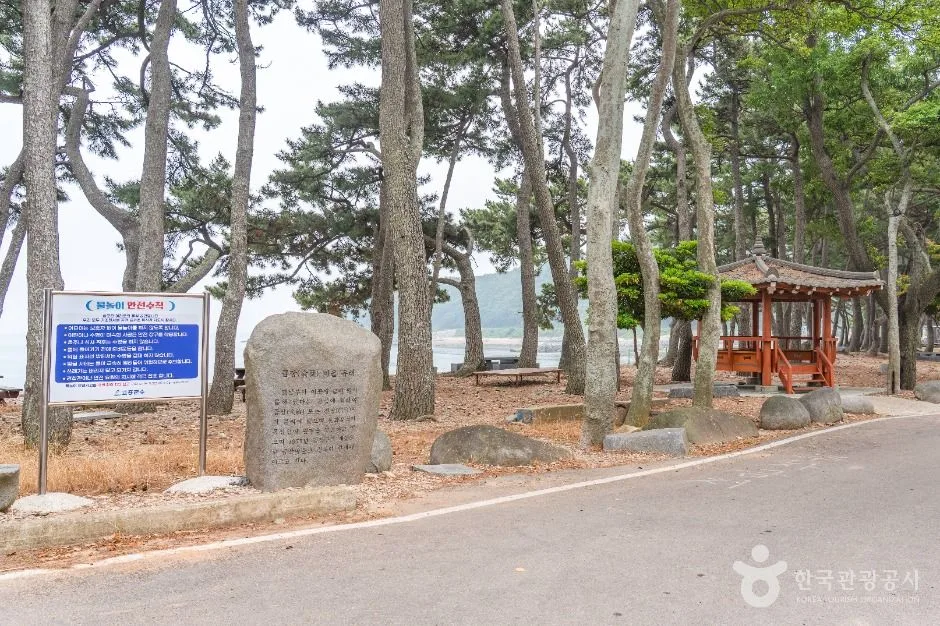 고흥_금장해수욕장 (3)