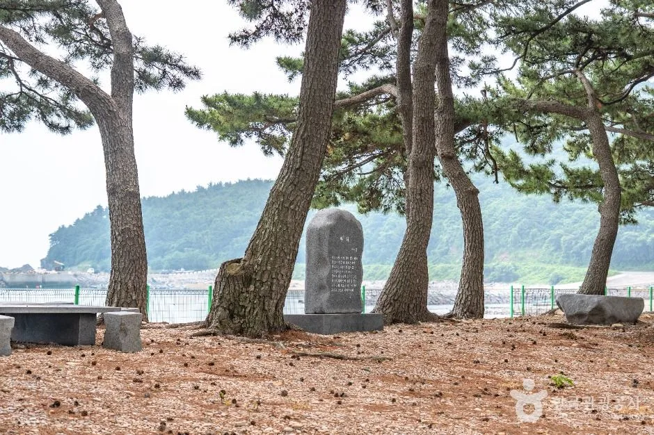 고흥_금장해수욕장 (2)