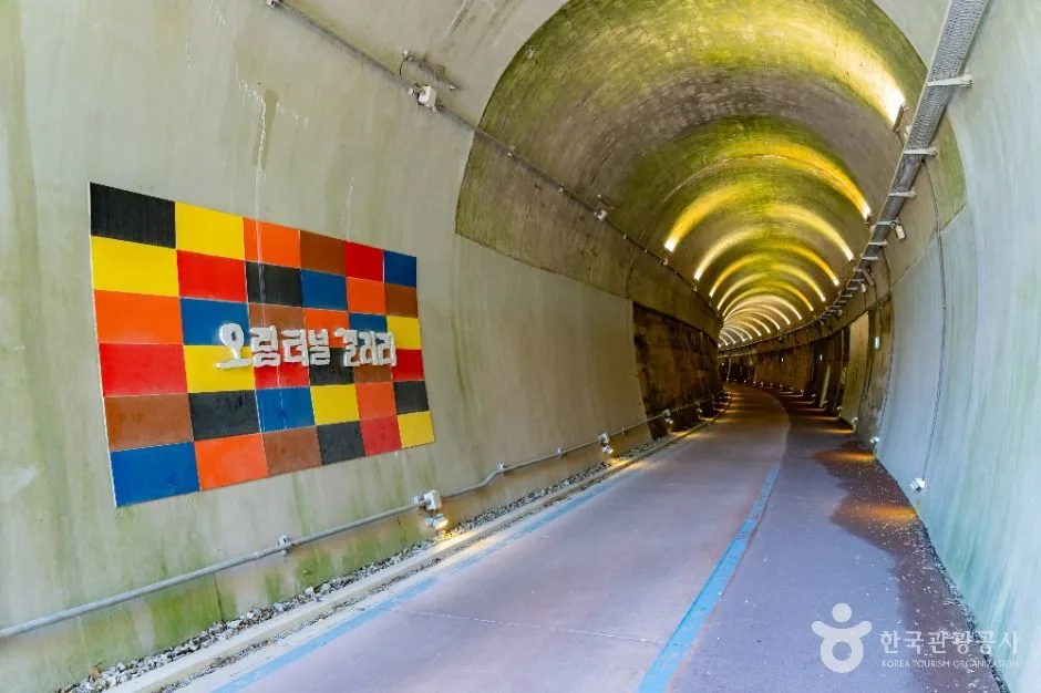 여수_오림터널 (7)