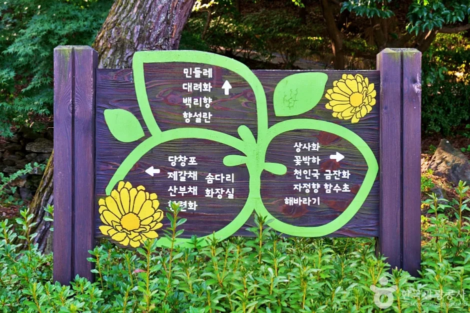 수레의산자연휴양림 (13)