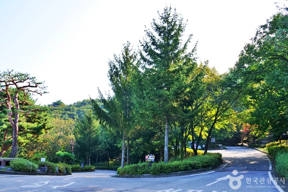 수레의산자연휴양림 (14)