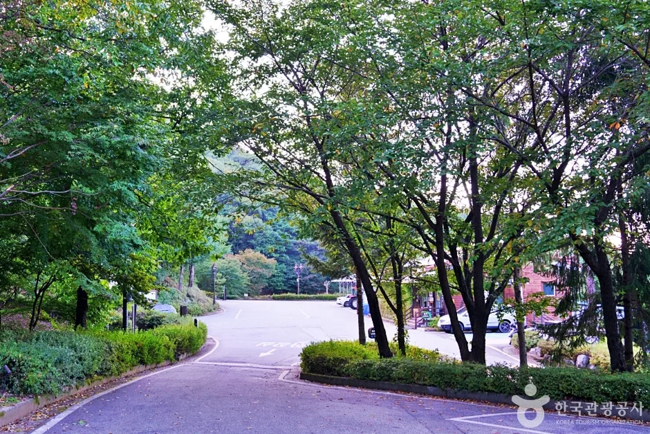수레의산자연휴양림 (4)