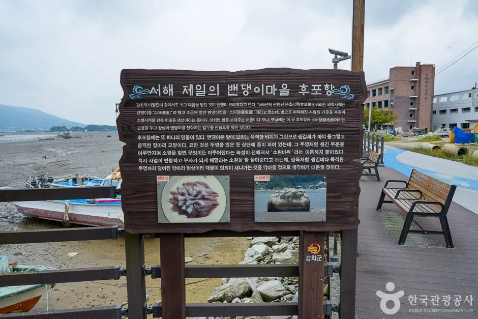 A04241_인천_강화_후포항 선수포구(9)