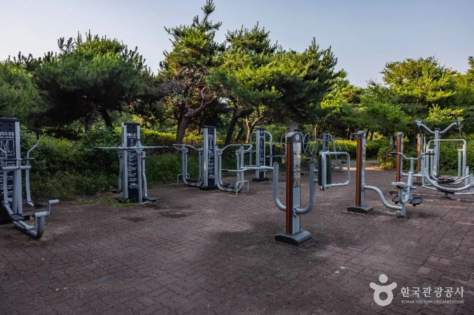인천_원적산체육공원 (6)