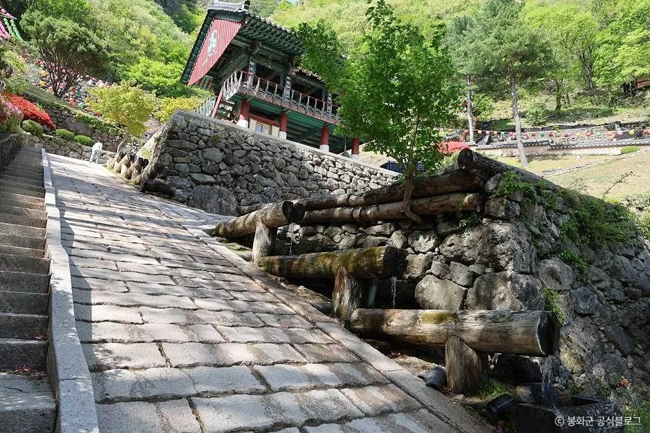 봉화_청량사(봉화) (3)