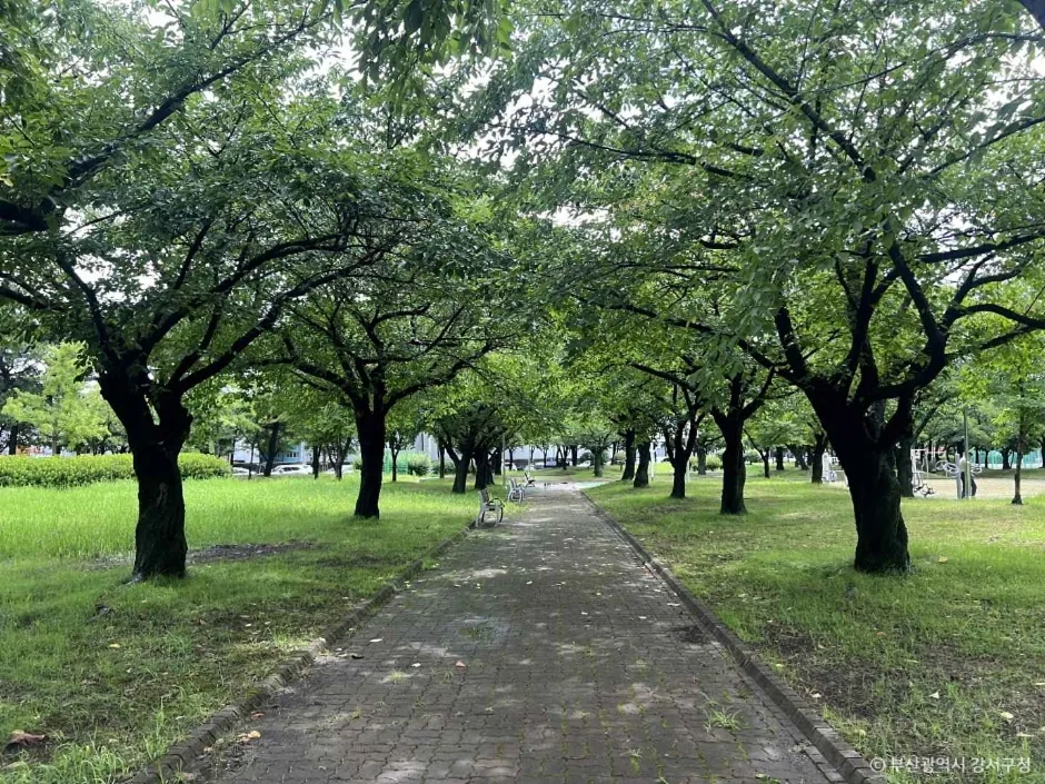 보람공원 (3)