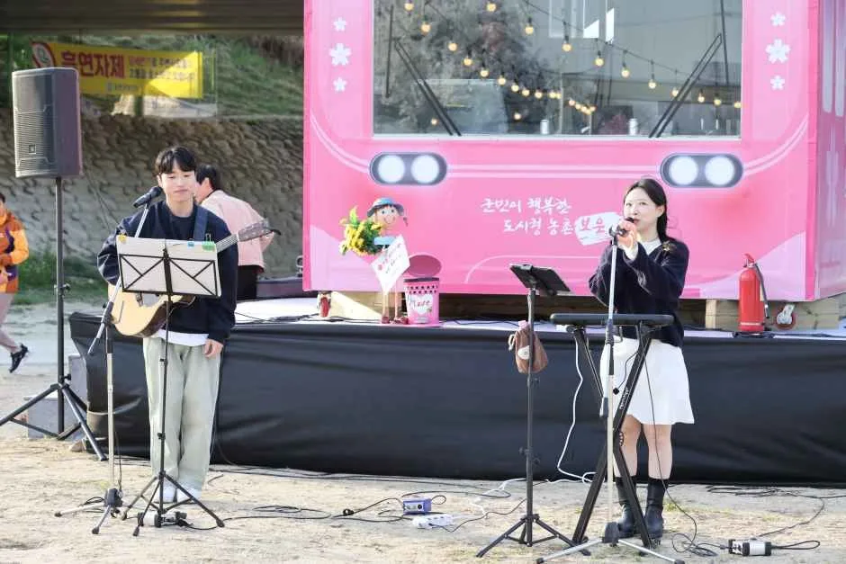 2026 보은 벚꽃길 축제 (10).JPG
