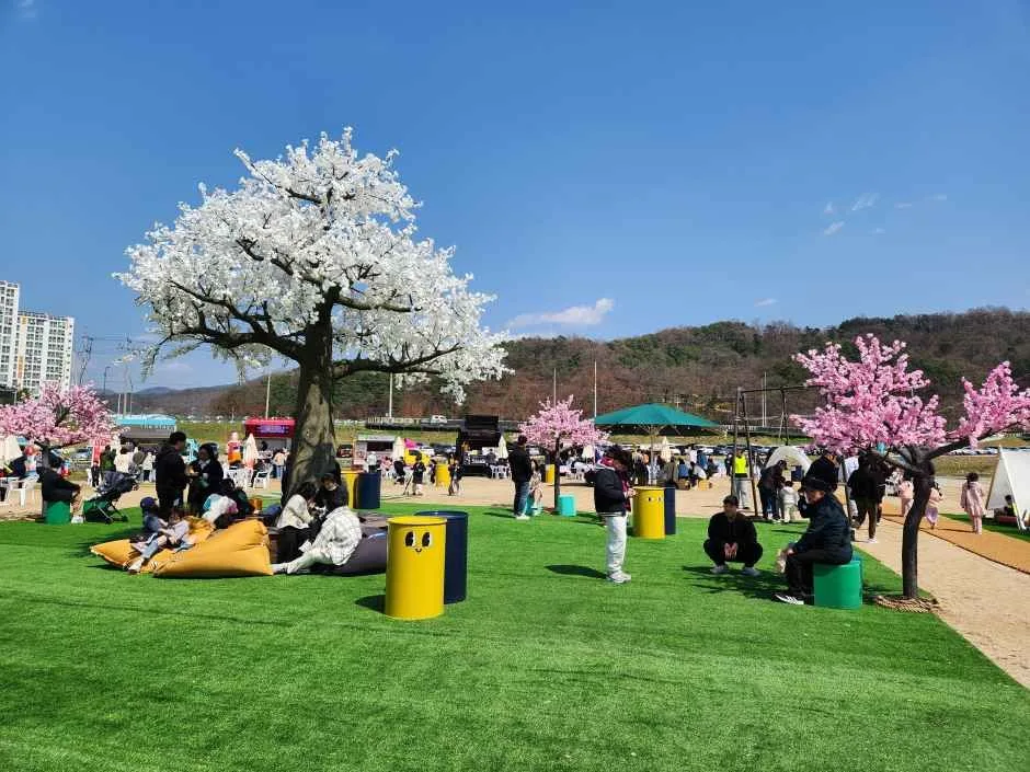 2026 보은 벚꽃길 축제 (8).jpg