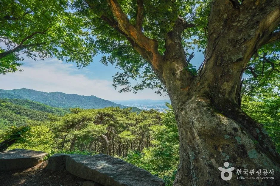 달성_도성암 (5)