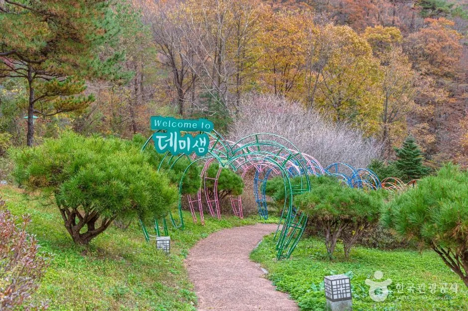 데미샘자연휴양림